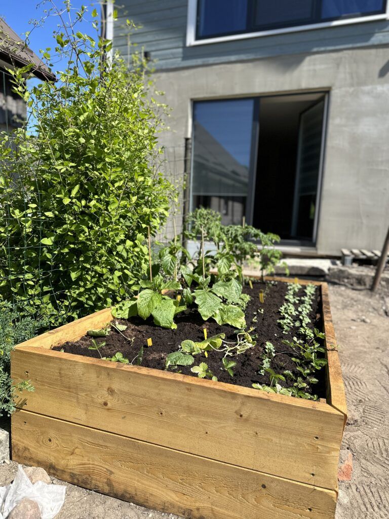 Wie man im Hochbeet anbaut