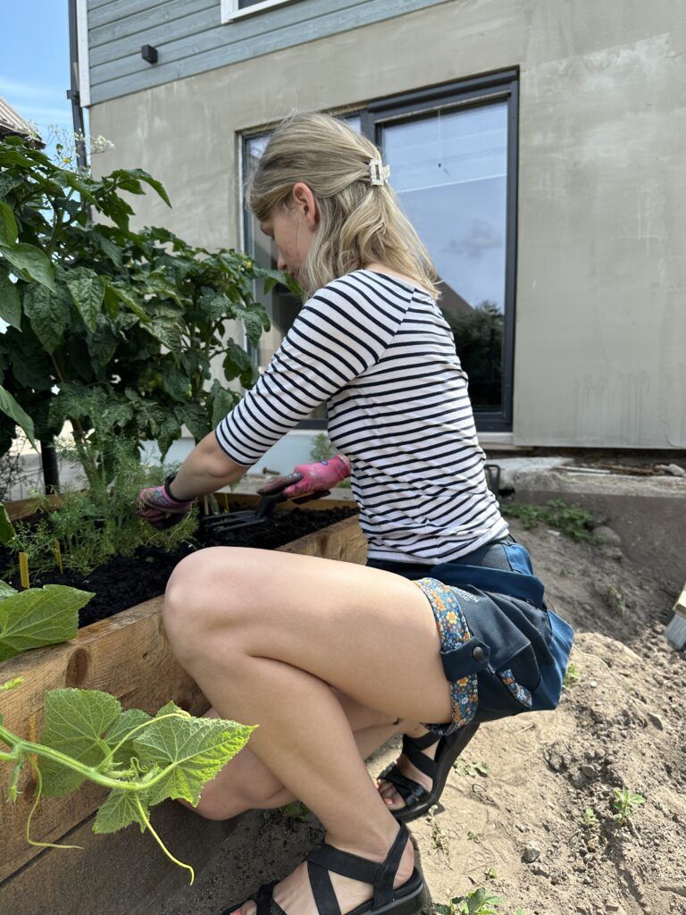 Beginnen Sie mit dem Anbau in Hochbeeten