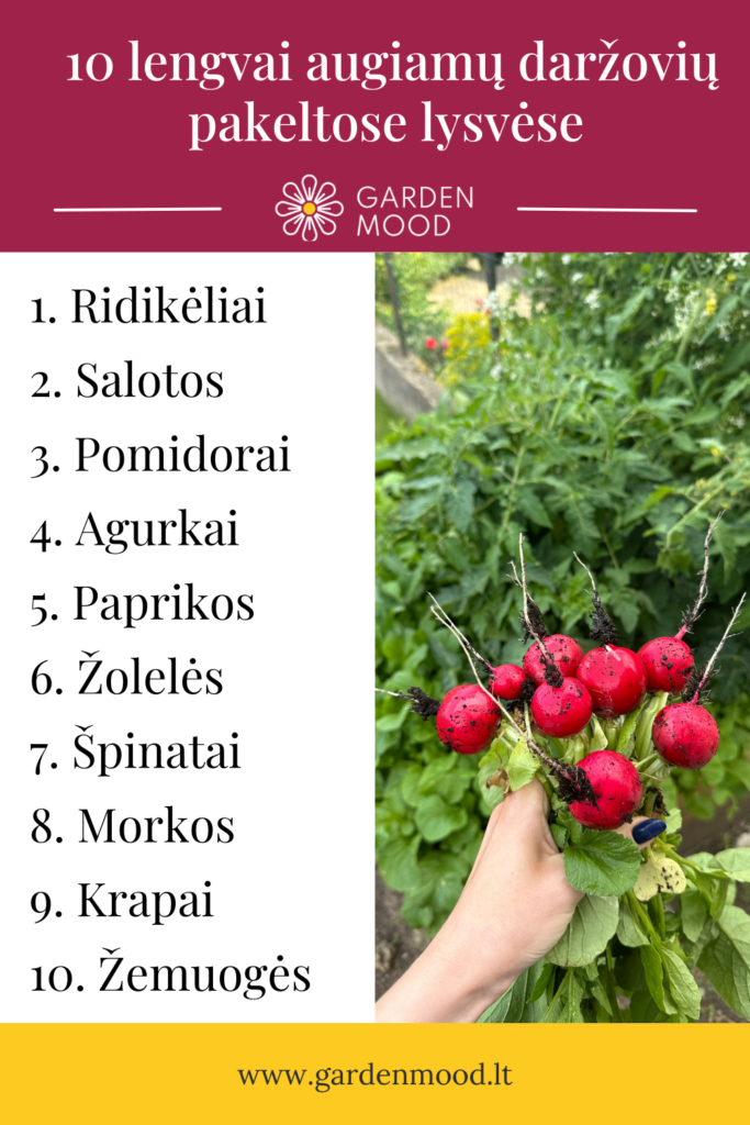 10 einfach anzubauende Gemüsesorten für Hochbeete (Anleitung für Anfänger)