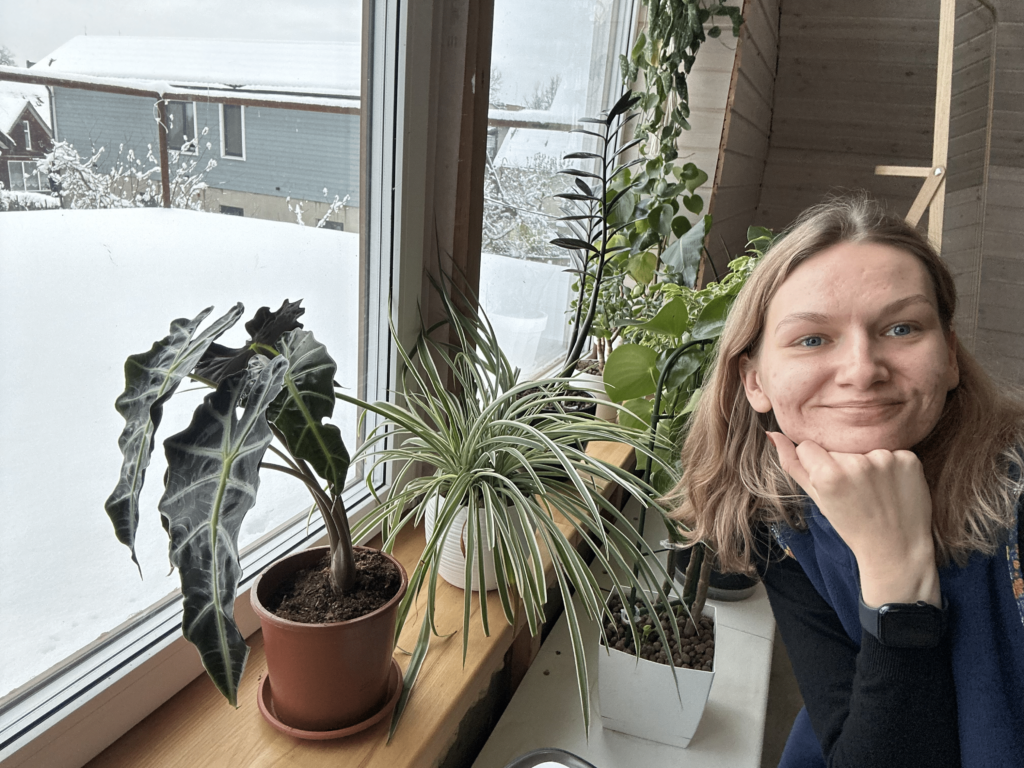 Kümmere dich um Zimmerpflanzen