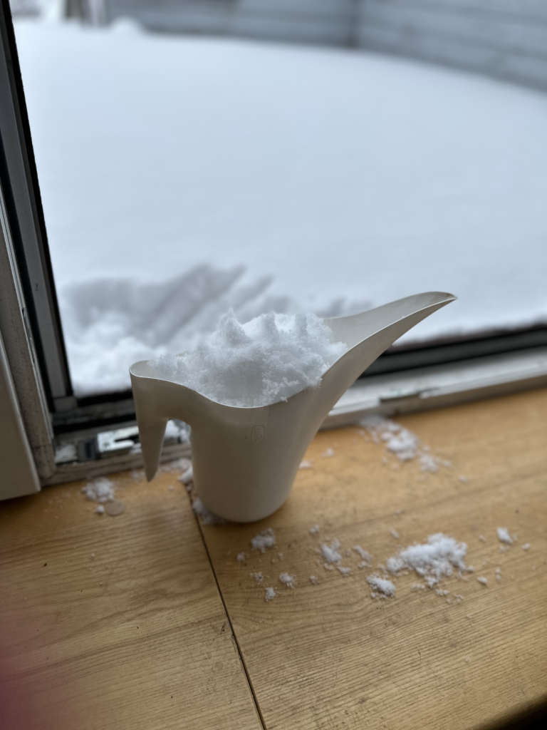 Schnee zum Gießen von Pflanzen