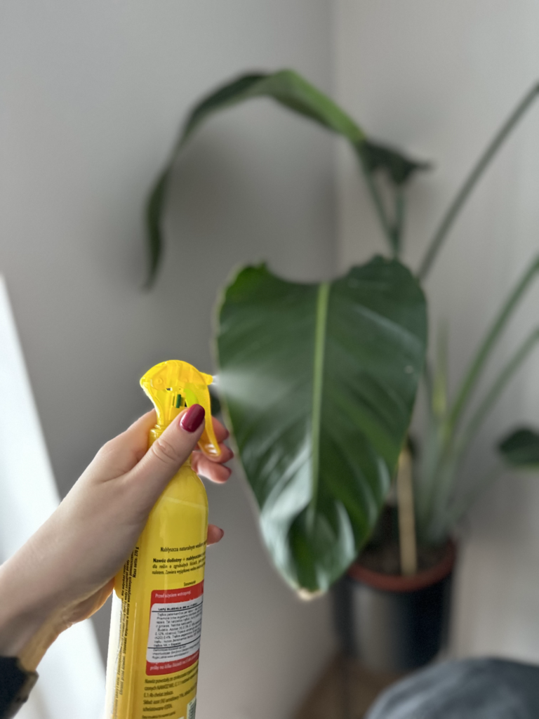 Pflanzenblätter reinigen